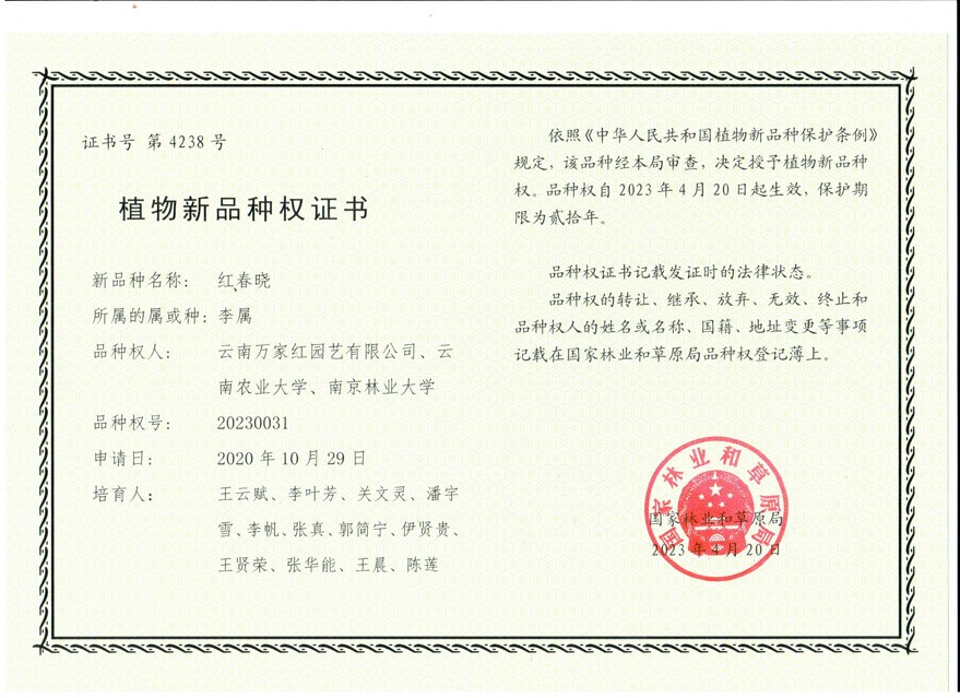 國(guó)家級(jí)櫻花新品種‘紅春曉’證書(shū)
